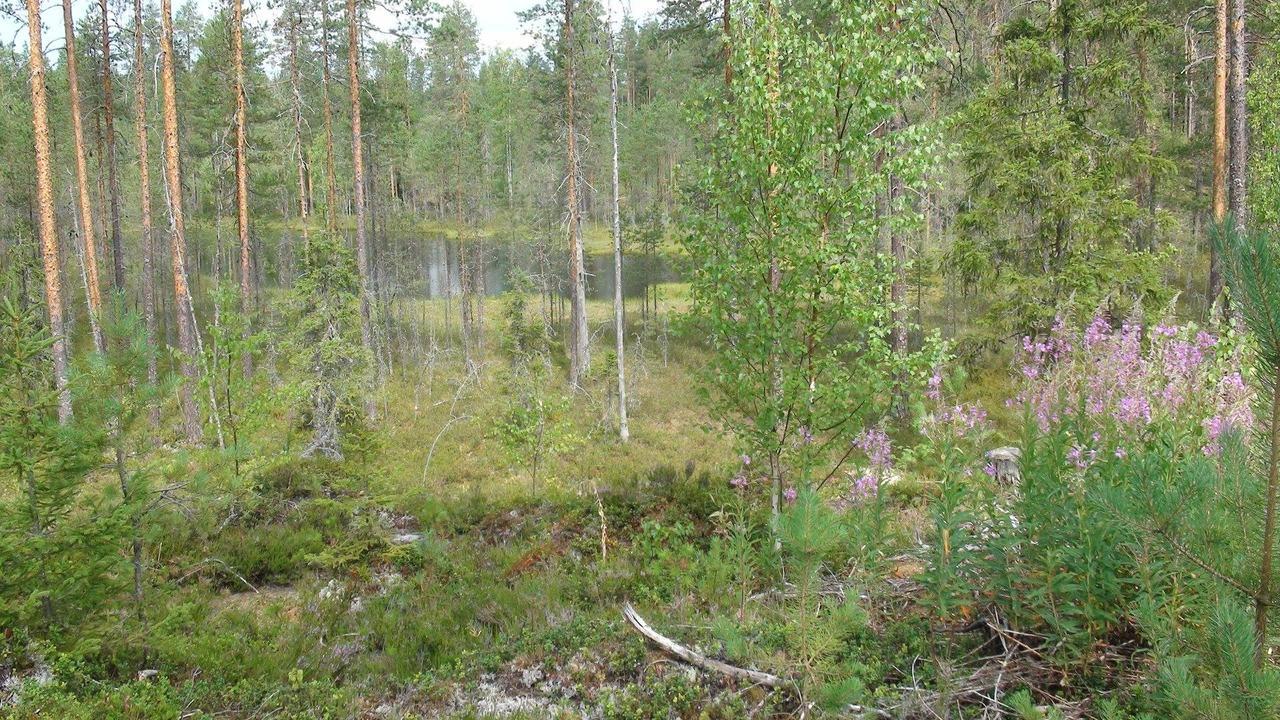 Kerimaa Golf Chalet Close To Savonlinna Kerimäki Extérieur photo